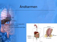 /album/matspjalkningssystemet/a6-matspja%cc%88lkningssystemet-020-jpeg/